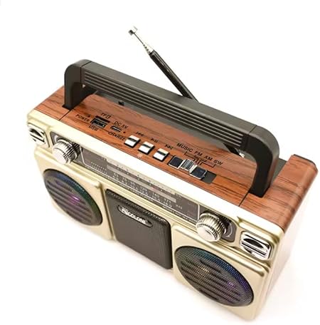 مكبر صوت بلوتوث محمول ريترو FM/AM/SW RX-880D مع بطارية 18650، USB، USB نوع C، بطاقة تي اف ستيريو تي اف تي دبليو اس