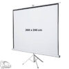 Projector Screen Manual 244 x 244 with stand-2871