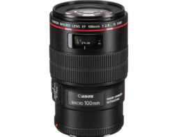 Canon EF 100mm f/2.8L Macro IS USM-0